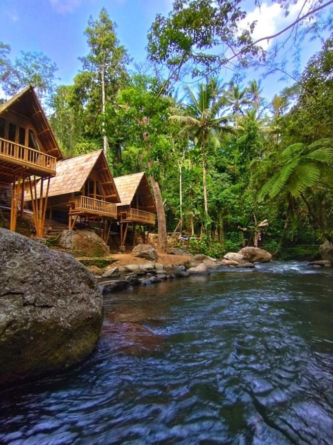 Aksha Riverside Ubud Tampaksiring Bagian luar foto