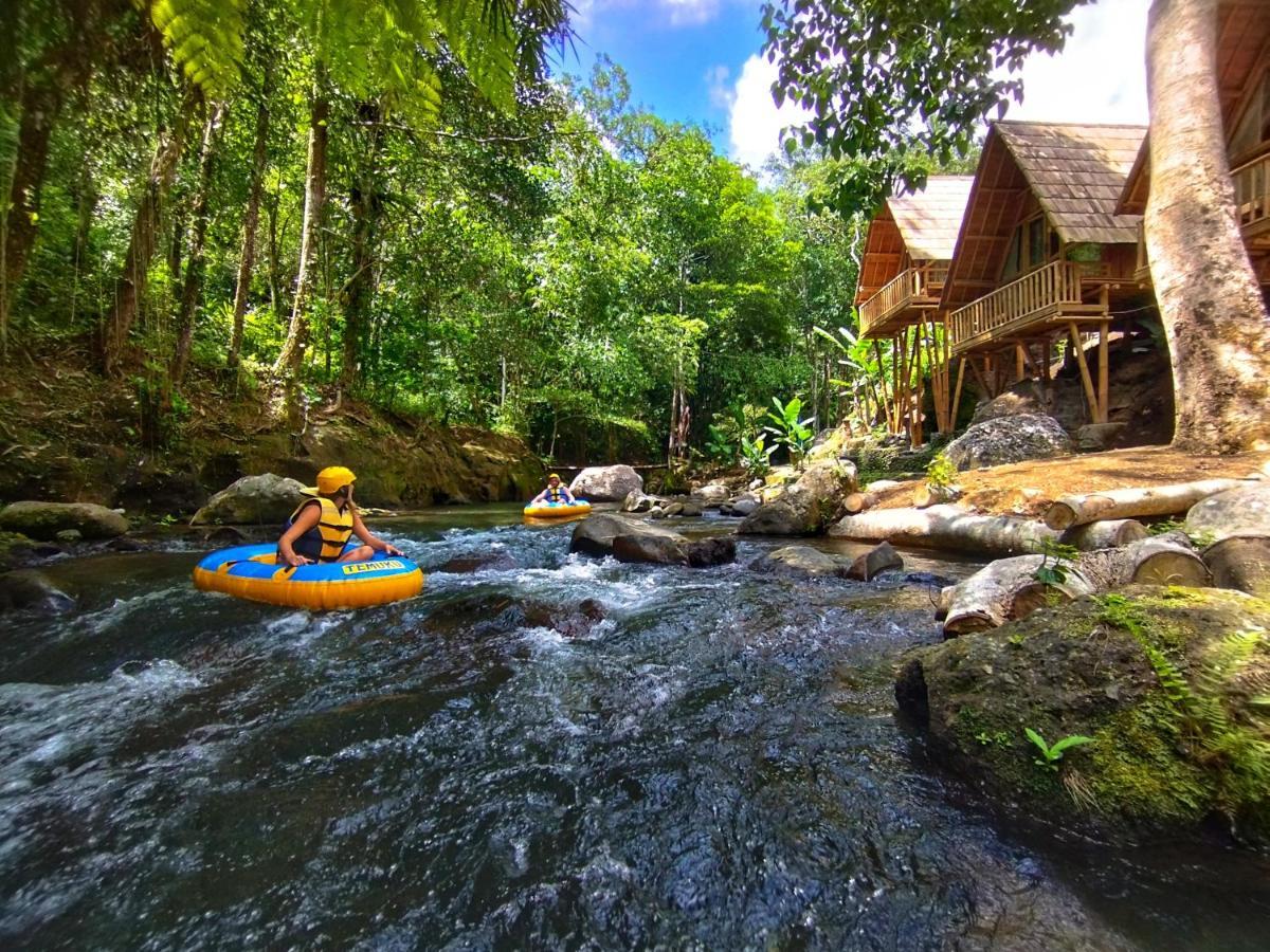Aksha Riverside Ubud Tampaksiring Bagian luar foto