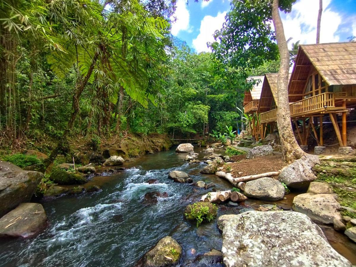 Aksha Riverside Ubud Tampaksiring Bagian luar foto